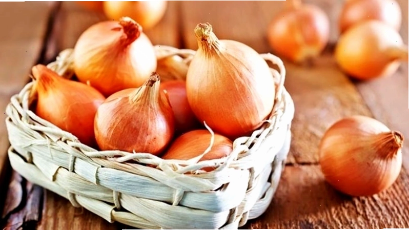 Nước hành tây có tác dụng kháng khuẩn