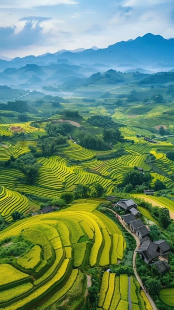 Ruộng bậc thang xanh mướt giữa núi rừng trùng điệp, làm hình nền điện thoại phong cảnh ấn tượng