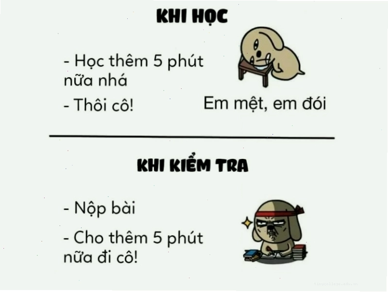 So sánh thời gian 5 phút khi học và khi kiểm tra qua meme