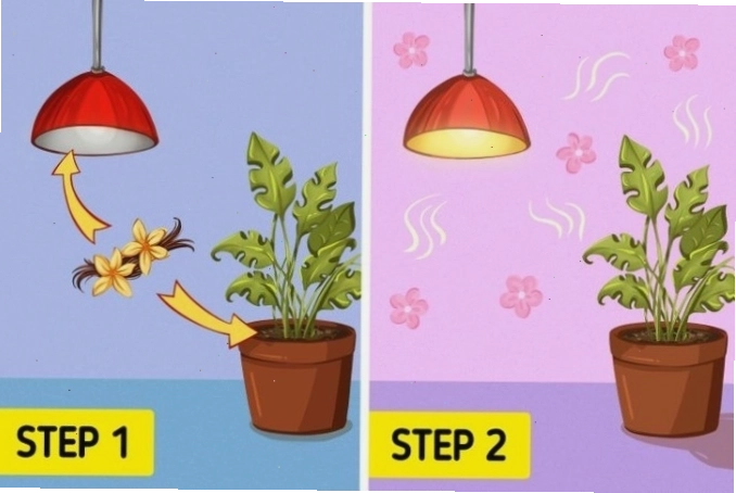 Sử dụng chanh để làm sạch ấm đun nước là một mẹo vặt gia đình hiệu quả