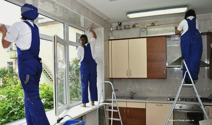 Sử dụng thuốc diệt kiến chuyên dụng khi cần thiết