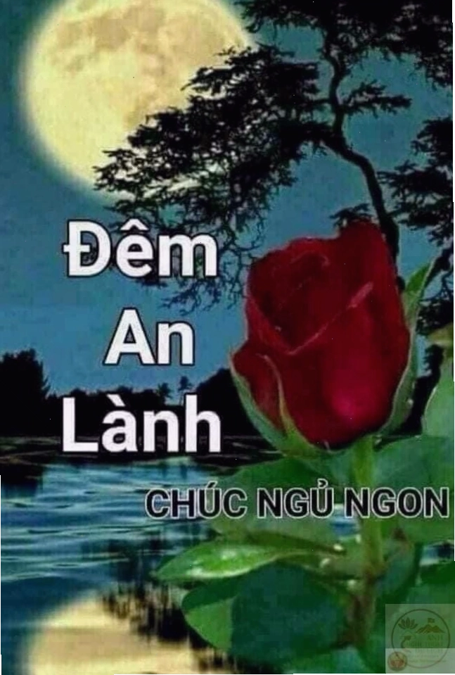 Tách trà nóng sảng khoái buổi sáng