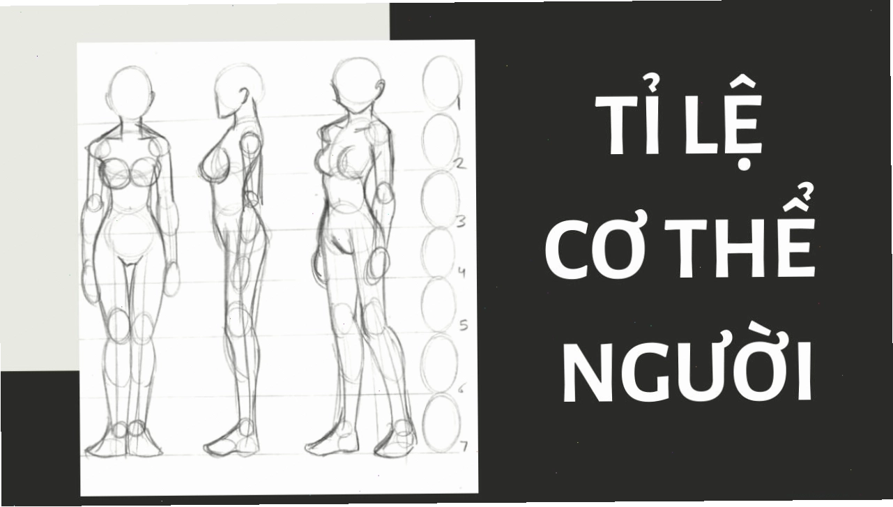 Tỉ lệ cơ thể người trong vẽ anime