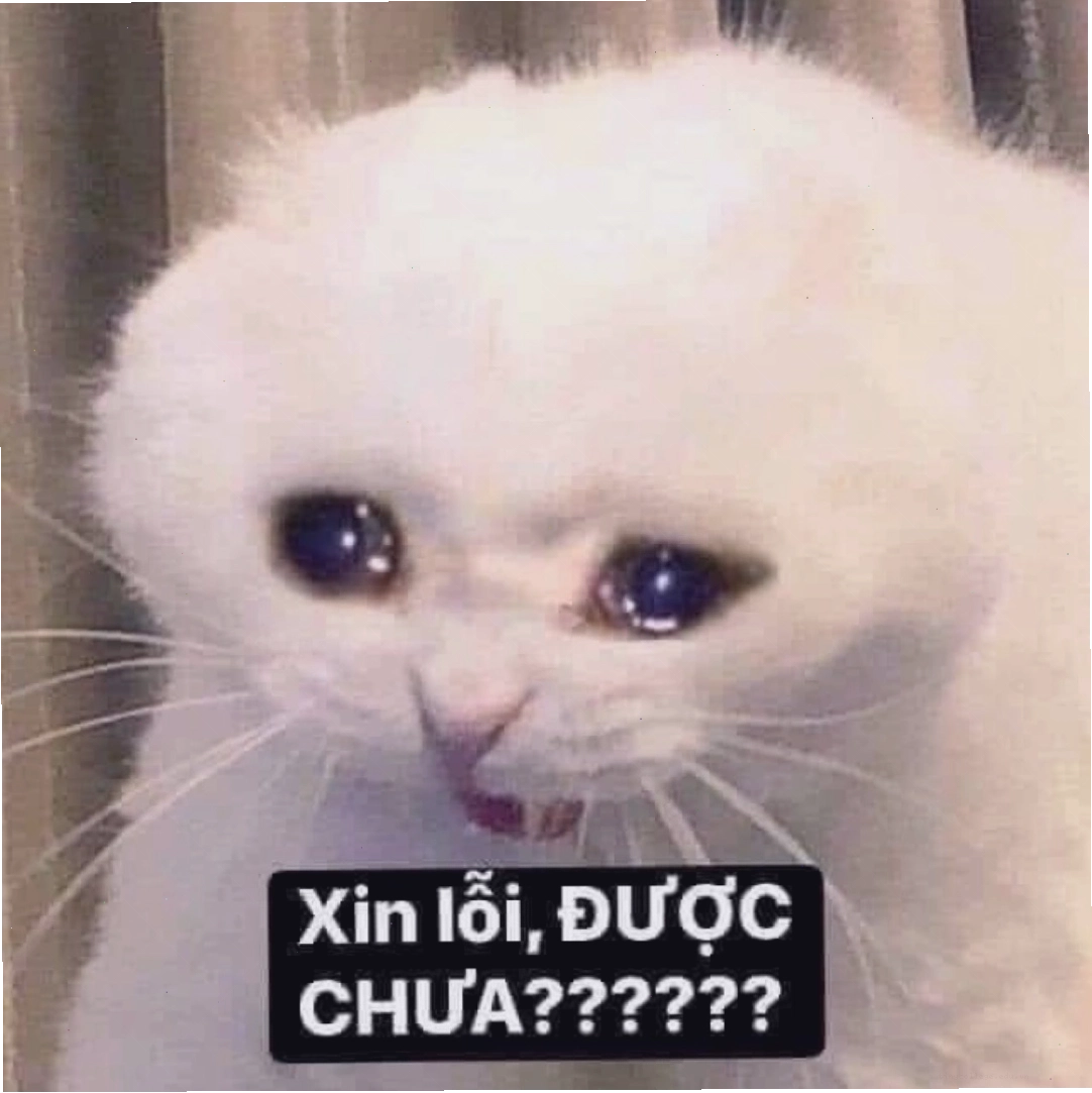 Tổng hợp meme xin lỗi đáng yêu