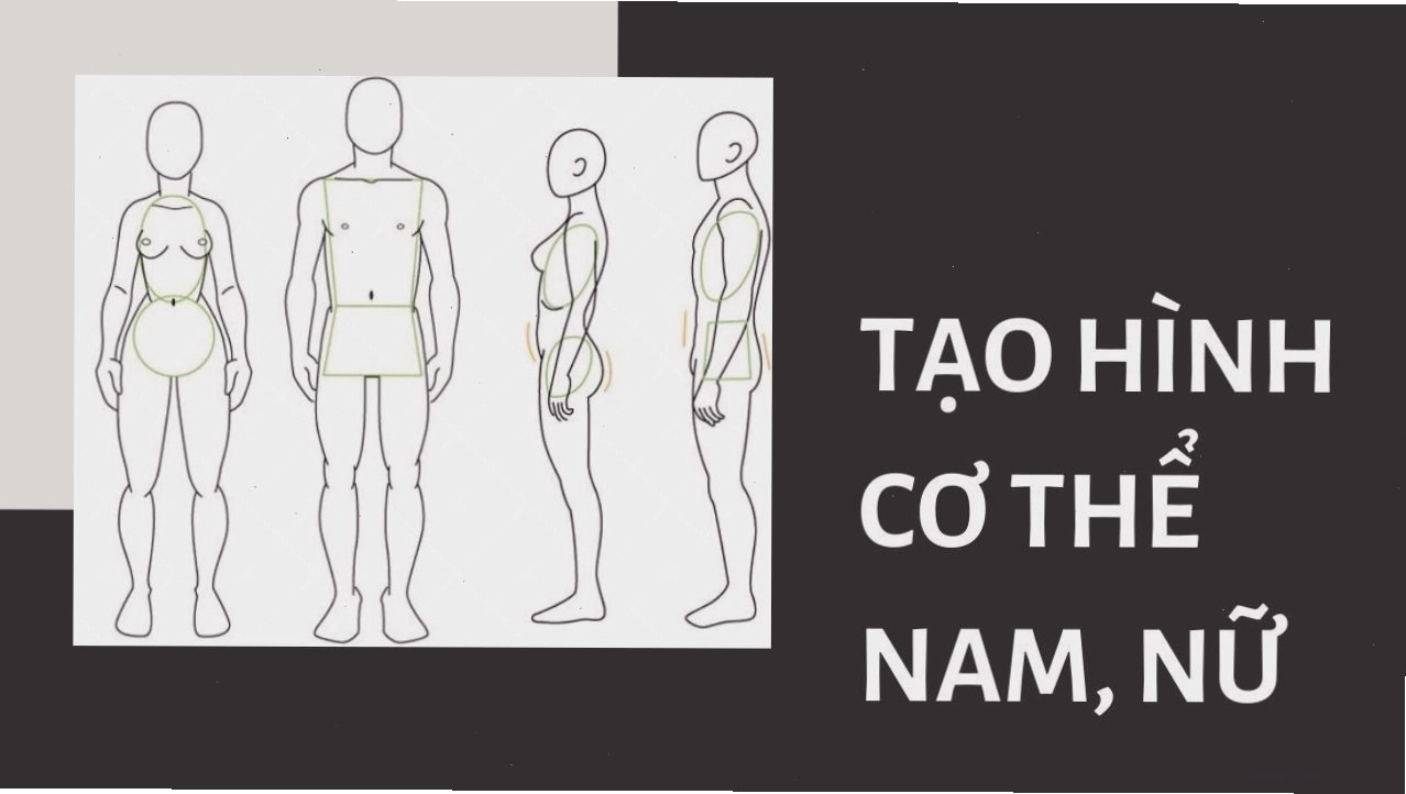 Xây dựng hình khối cơ thể từ khung xương
