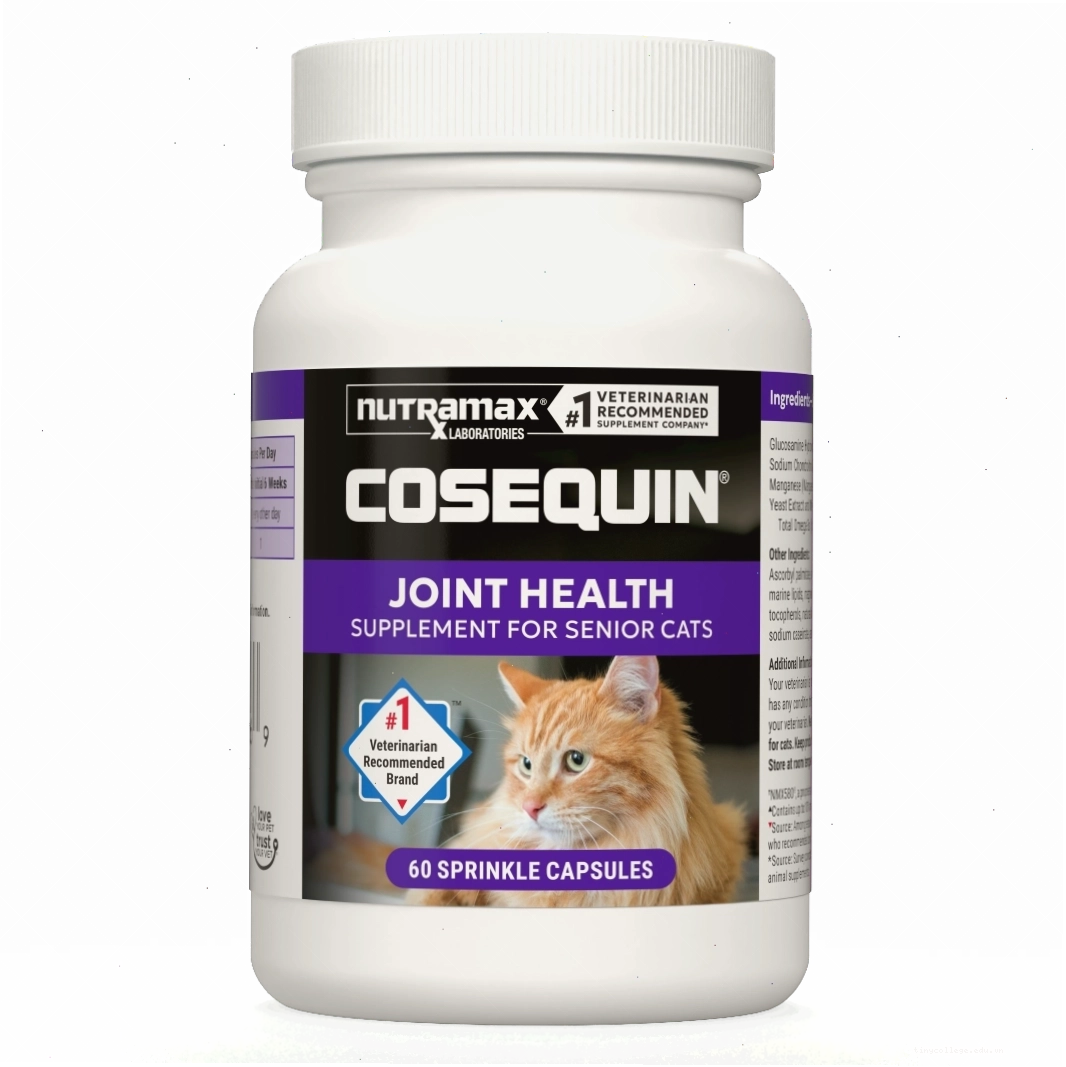 Senior cat food with joint support supplements displayed on a clean counter