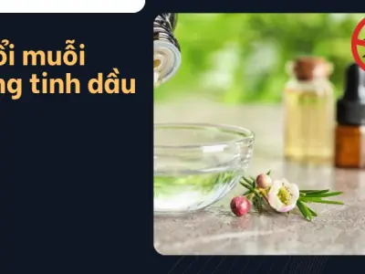 Tôi đã đuổi sạch muỗi khỏi nhà với giá 0 đồng như thế nào