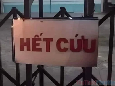 1544+ Tuyển tập meme hết cứu biểu cảm bất lực cực đỉnh 2026