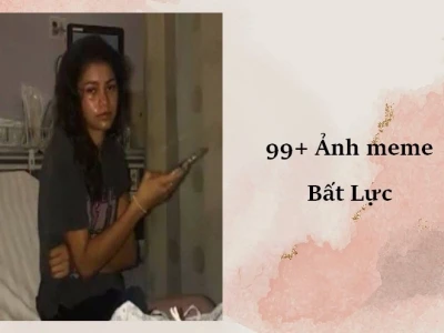 99+ Ảnh Meme Bất Lực Khóc Cười, Bạn Đã Từng Trải Qua?