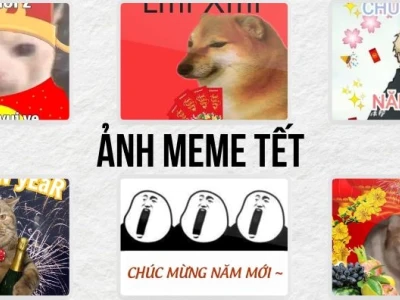 Avatar Meme Tết 2026: Tuyển Tập Ảnh Hài Hước Độc Đáo