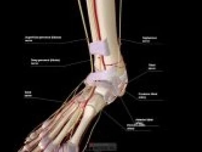 Chữa trật khớp cổ chân nhanh chóng và hiệu quả tại nhà