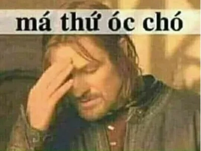 Khám phá kho meme chửi độc đáo và hài hước nhất 2026