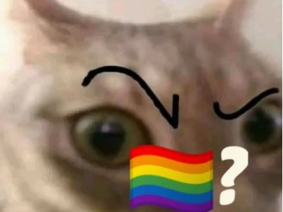 Khám phá Thế giới Meme Gay: Hài hước, Sáng tạo và Đầy Biểu cảm