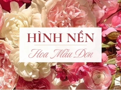 Khám phá Vẻ đẹp Diệu kỳ: Tổng hợp Hình nền Hoa Mẫu đơn Đẹp nhất