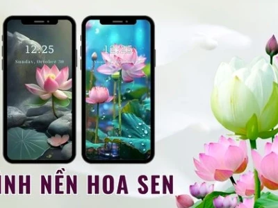 Khám phá vẻ đẹp tinh tế của hình nền hoa sen đẹp 2026
