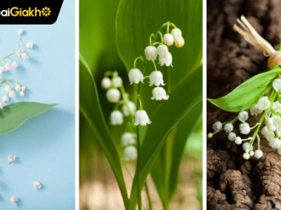 Khám phá vẻ đẹp tinh tế với hình nền hoa linh lan cho điện thoại