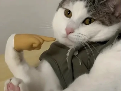 Meme đói bụng: Khi chiếc bụng lên tiếng đòi "mì ăn liền"