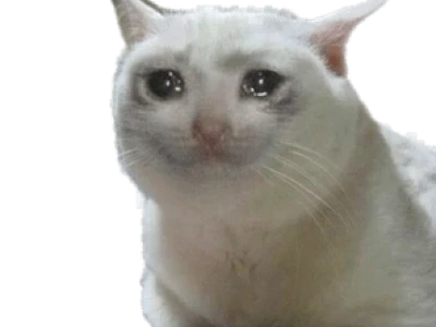Meme Mèo Khóc: Biểu Tượng Cảm Xúc Trên Internet