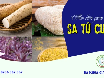 Mẹo Dân Gian Trị Sa Tử Cung: Hiệu Quả và An Toàn Tại Nhà