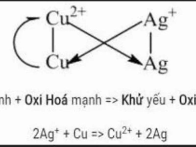 Quy Tắc Alpha Trong Hóa Học: Giải Mã Khái Niệm Và Ứng Dụng