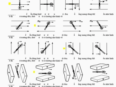Quy tắc bàn tay trái: Hướng dẫn chi tiết và ứng dụng