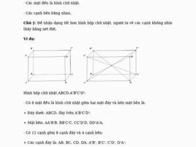 Quy tắc hình hộp chữ nhật và ứng dụng trong không gian