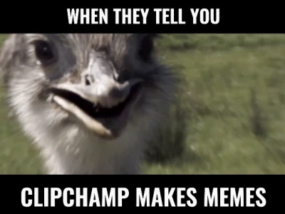 Tạo Video Meme Hài Hước và Viral Với Công Cụ Online Đơn Giản