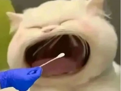 Tổng hợp 60+ Meme Há Miệng Hài Hước: Biểu Cảm Sốc, Ngạc Nhiên Cực Đỉnh 2026