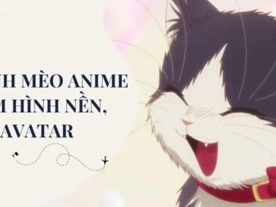 Tuyển Tập Avatar Mèo Cute Ngộ Nghĩnh Dành Cho Bạn