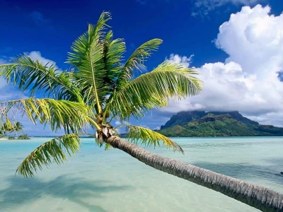 Tuyển Tập Hình Nền Biển Chill Mang Bình Yên Cho Mọi Thiết Bị 2026