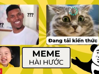 Tuyển Tập Hình Nền Meme Hài Hước Nhất 2026 Khiến Bạn Cười Không Ngớt