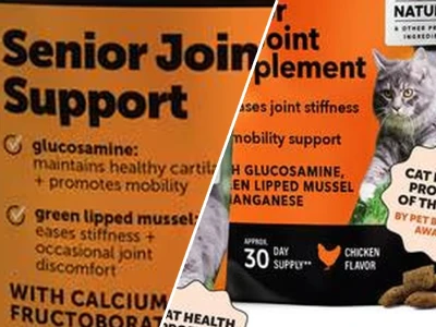 Comprehensive guide to senior cat food with joint support supplements in 2026